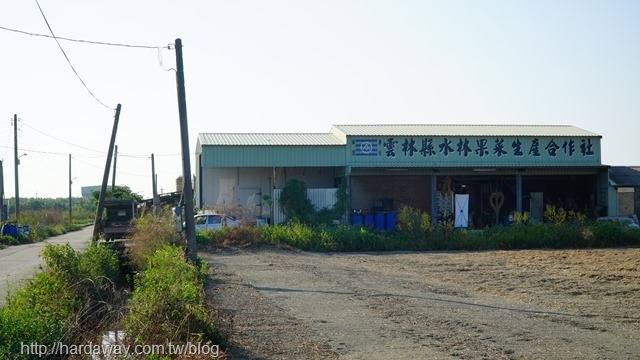 水陳小林的田畦邊果菜園