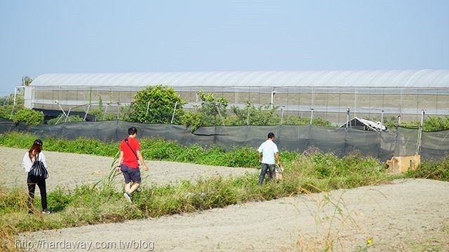 水陳小林