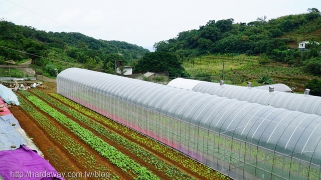 石門有機農場