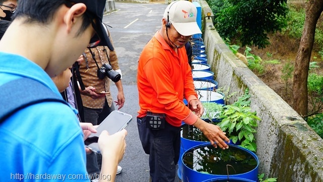 石門有機農場