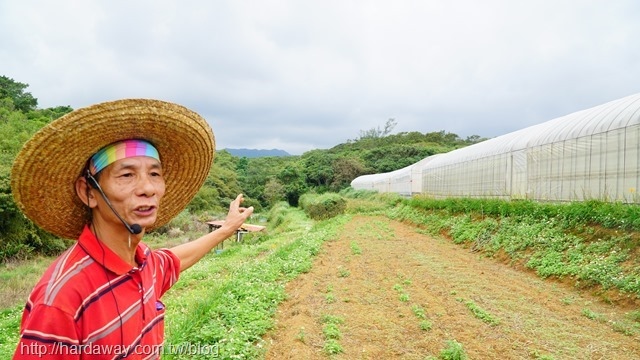 樂采豐農園