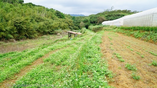 樂采豐農園