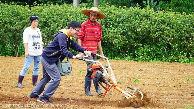 樂采豐農園農事體驗