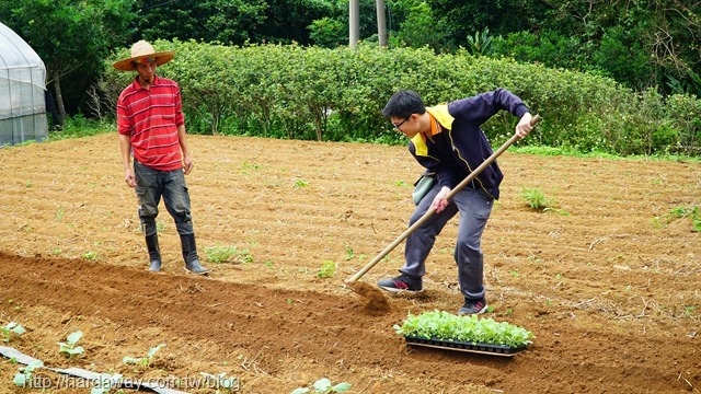 樂采豐農園農事體驗