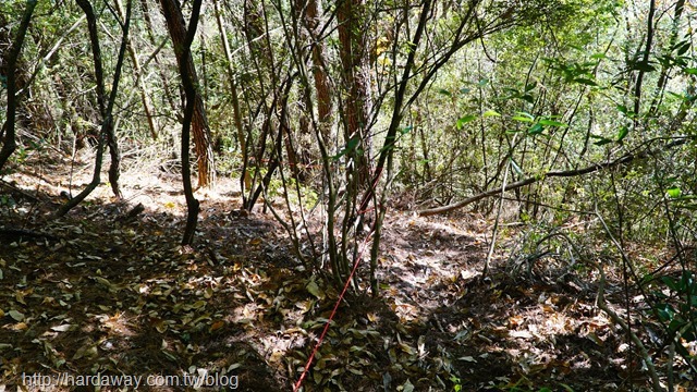 環山部落獵人步道