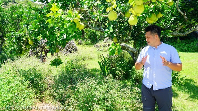 東河鄉香草學校