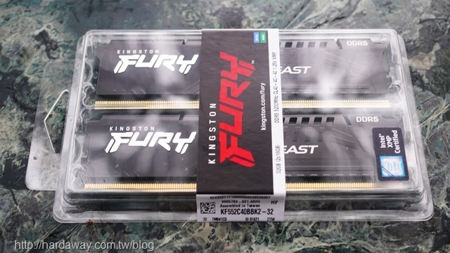 金士頓Kingston FURY Beast DDR5記憶體