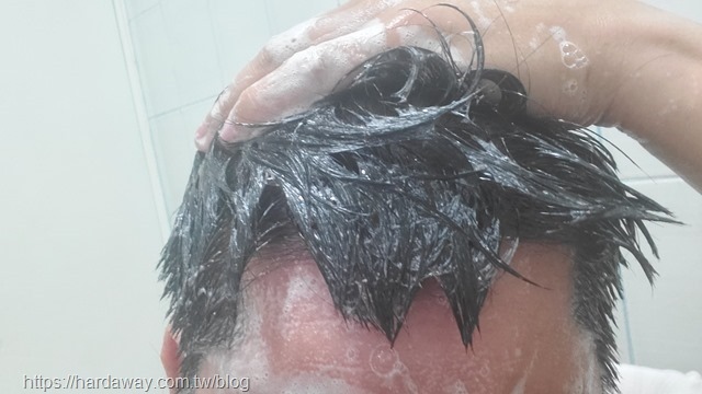 德國髮現工程Alpecin油性頭皮專用洗髮露
