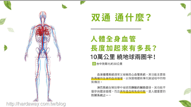 中醫治療腎臟病方式