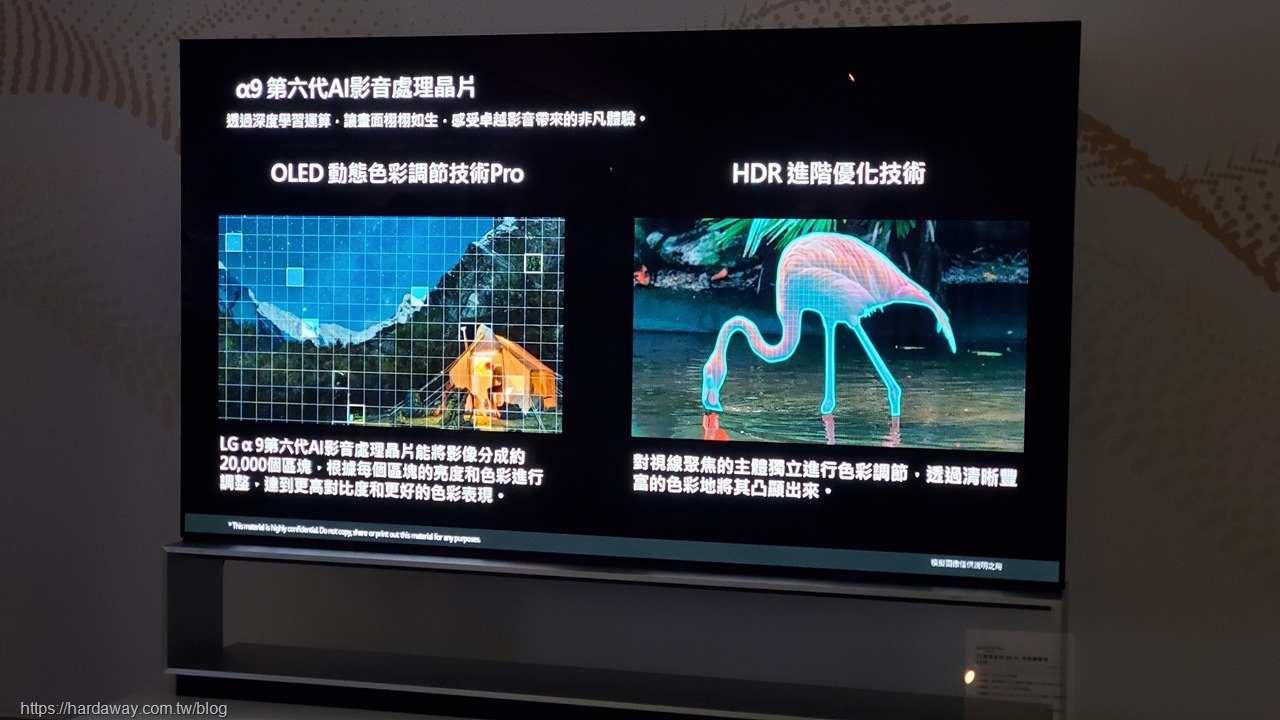 大未來林舍畫廊LG OLED evo智慧電視發表會