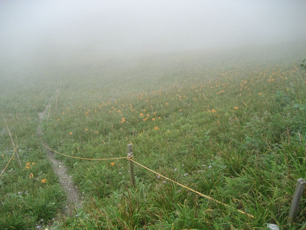 太麻里金針山