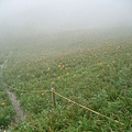 太麻里金針山