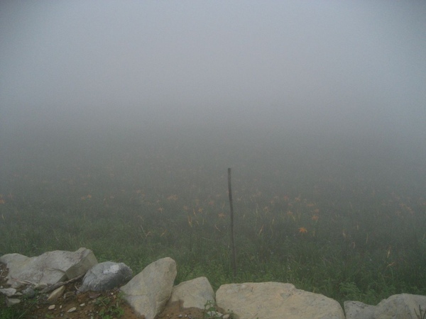 太麻里金針山