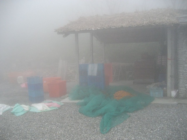 太麻里金針山