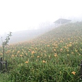 太麻里金針山