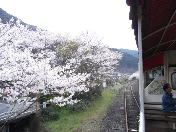 R0012858.JPG