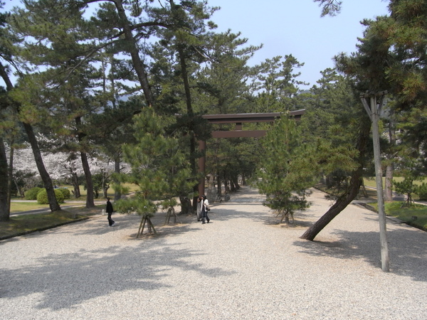 R0014913.JPG