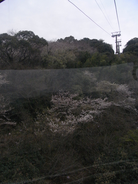 R0013800.JPG