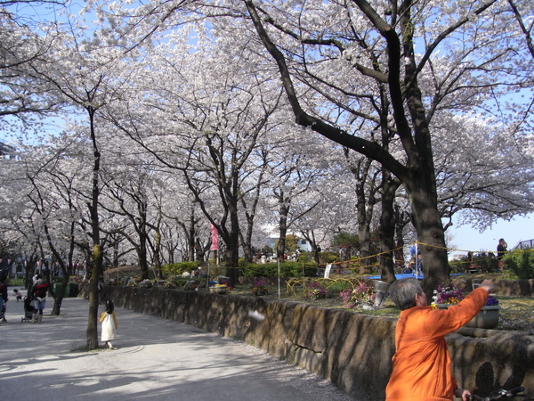 R0014709.JPG