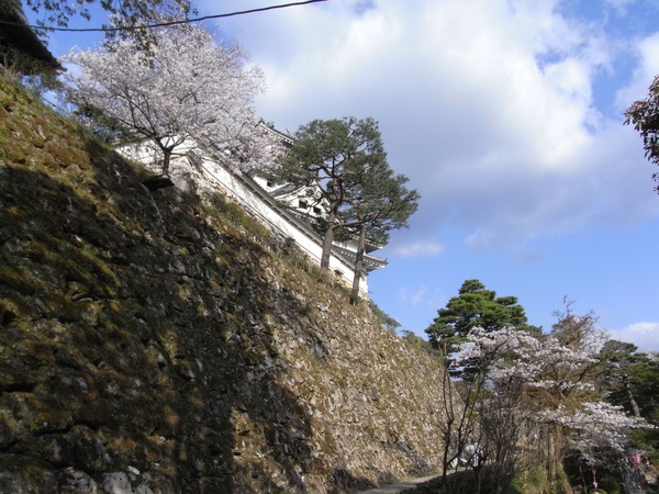 R0013109.JPG
