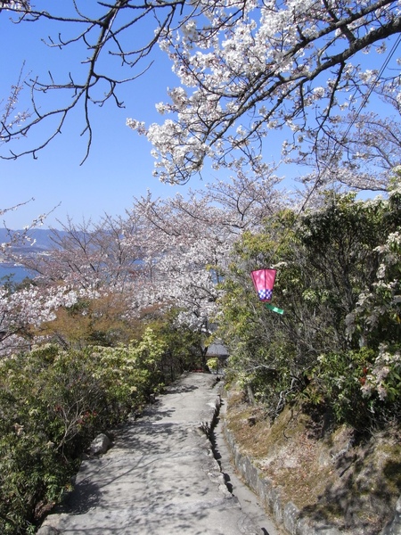 R0012089.JPG