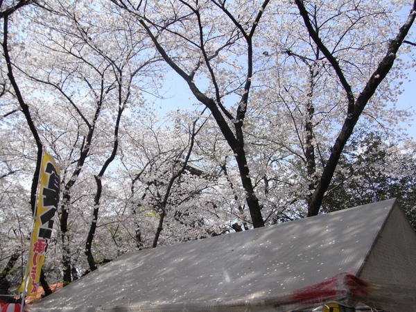 R0014624.JPG
