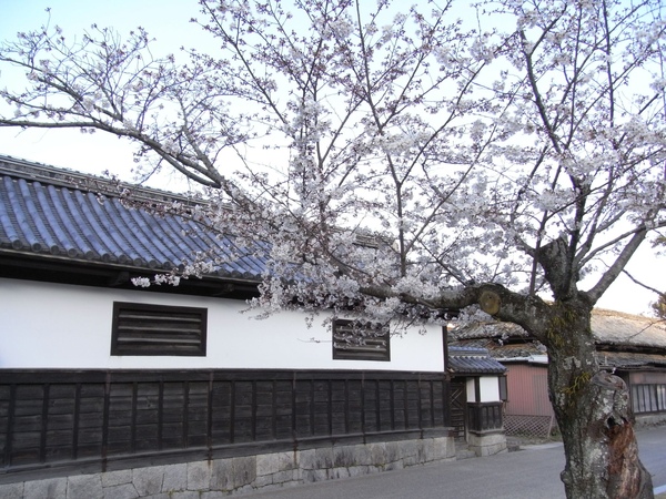 R0012199.JPG