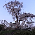 R0014449.JPG