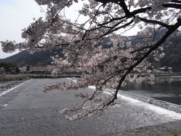 R0014265.JPG