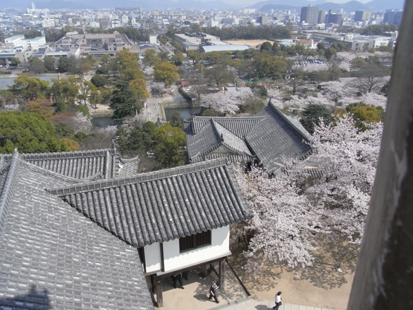 R0015334.JPG