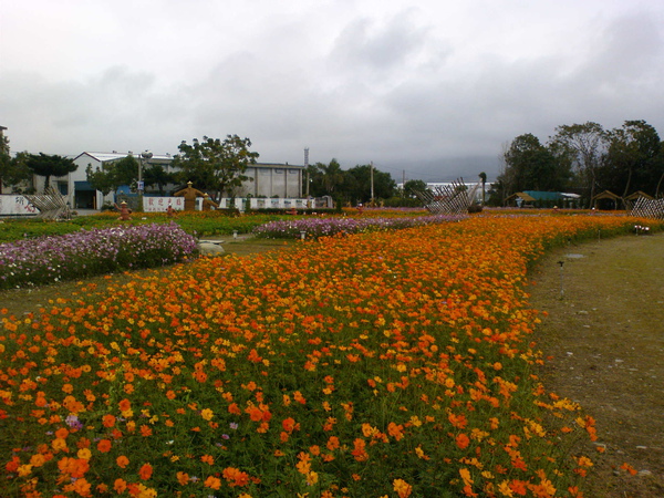 DSC01448.JPG