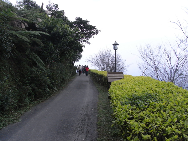R0018183.JPG