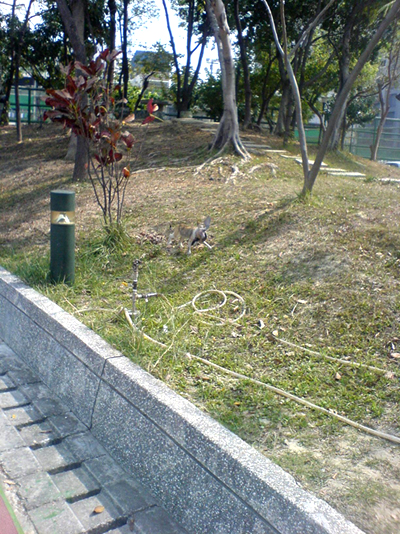 DSC00065-1.jpg DSC00065-1.jpg