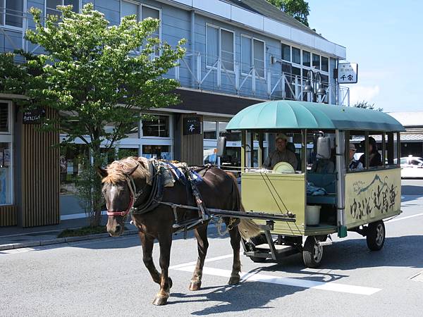 你也可以坐馬車遊覽