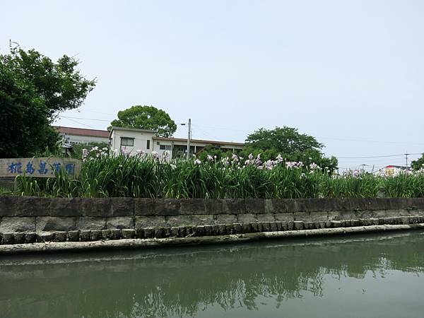 9菖蒲花園