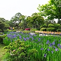 02兼六園_03.JPG