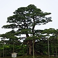 02兼六園_07.JPG