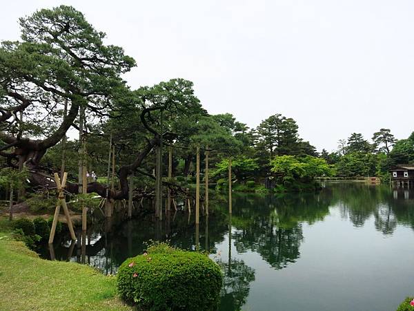 02兼六園­_13.JPG