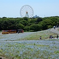 DSCN5189.JPG