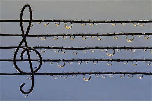 音符雨