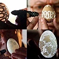 蛋的雕琢