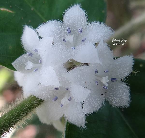 10481401_555688444565568_464902655666277475_n