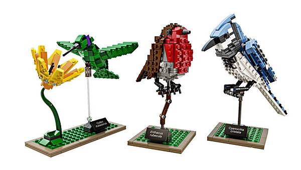 lego-birds-tom-poulsom-25__880