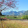 田野遠山