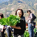 思美只要有這顆大白菜就夠本了