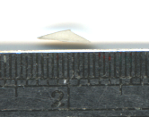 腳指甲.png