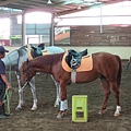 2011.08.13 綠野馬場.jpg
