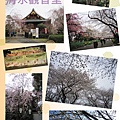 2013.3.22 上野恩賜公園