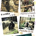 2013.3.22 上野動物園