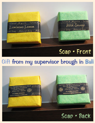 2009.12.21 Bali Soap.jpg